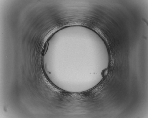 X0000100310805200806261201