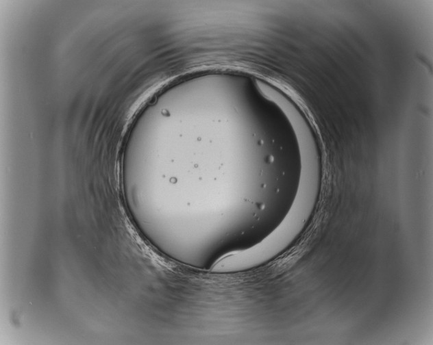 X0000100310807200806261201