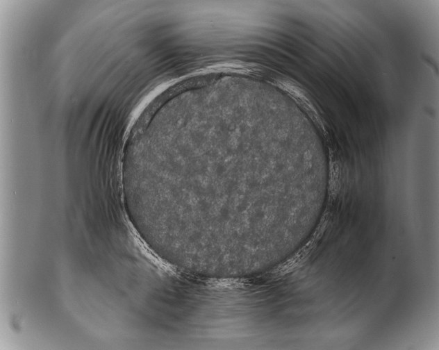 X0000100310808200806261201