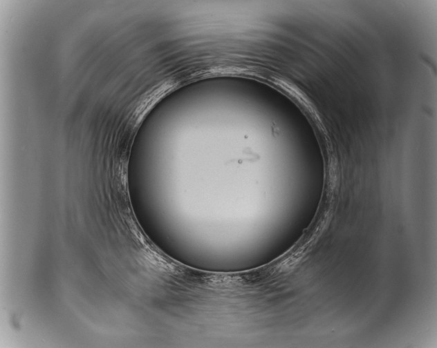 X0000100310809200806261201