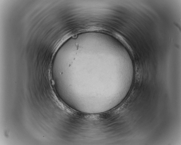 X0000100310810200806261201