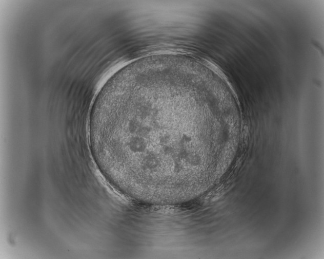 X0000100310811200806261201