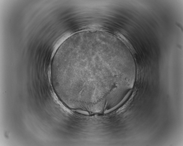 X0000100310812200806261200