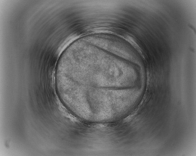 X0000100310814200806261200