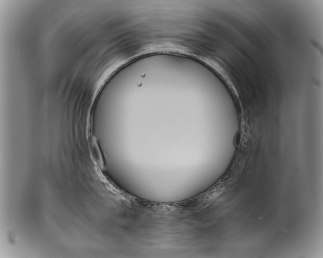 X0000100310815200806261200