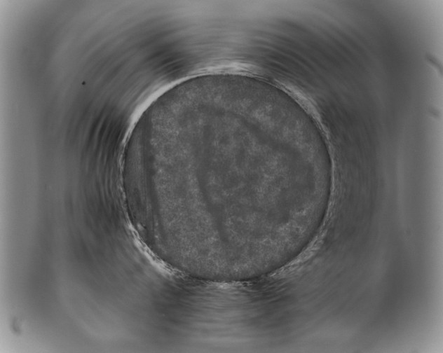 X0000100310816200806261200