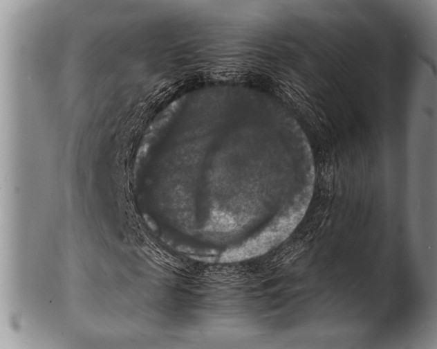 X0000100310817200806261200