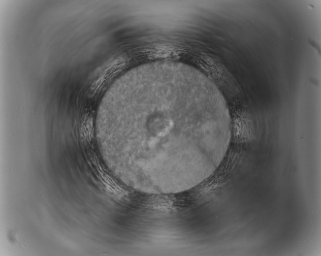 X0000100310820200806261200