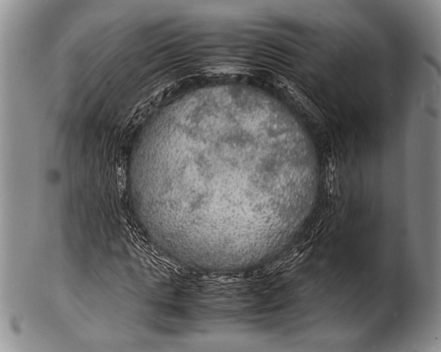 X0000100310821200806261200