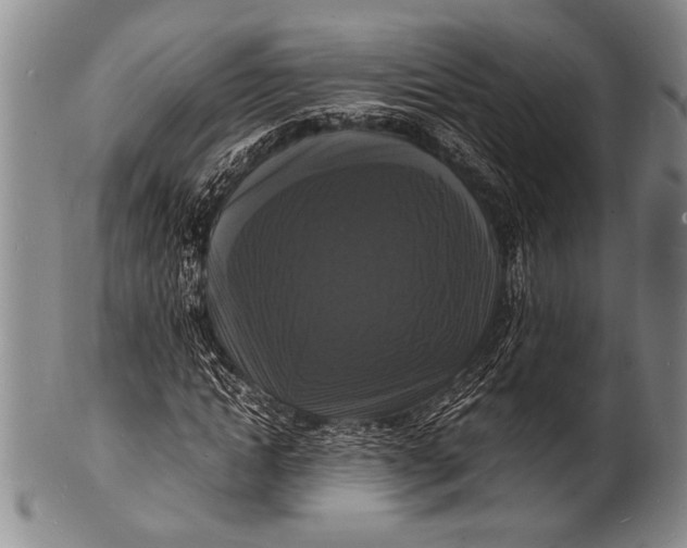 X0000100310822200806261200