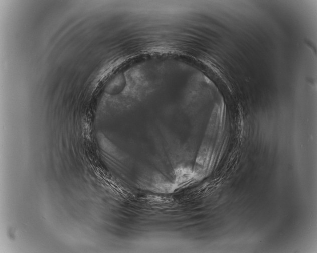 X0000100310823200806261200