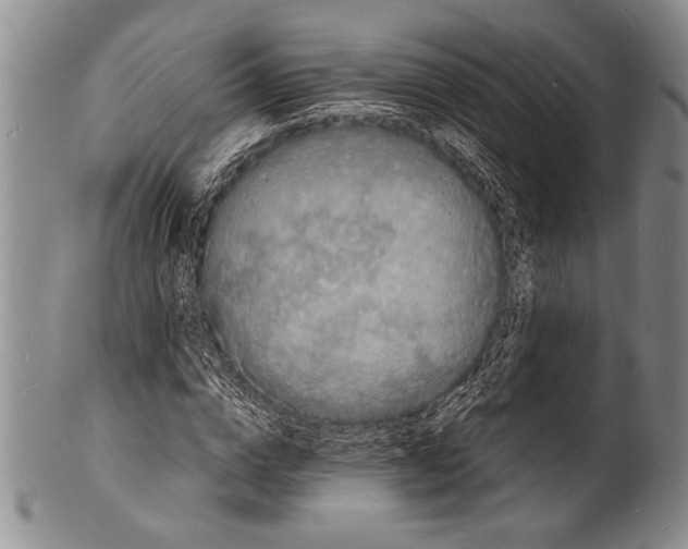 X0000100310824200806261200