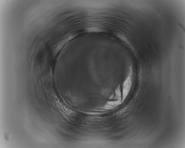 X0000100310825200806261200