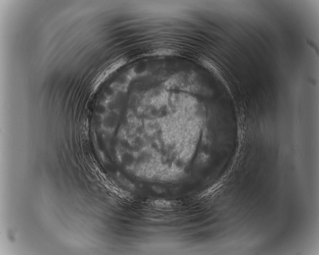 X0000100310827200806261200