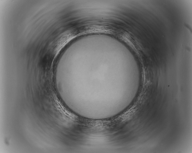 X0000100310828200806261200