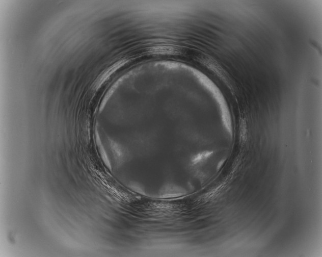 X0000100310829200806261200