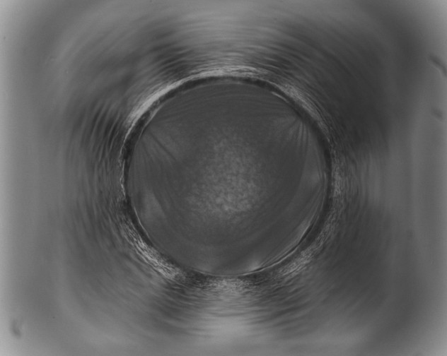 X0000100310830200806261200