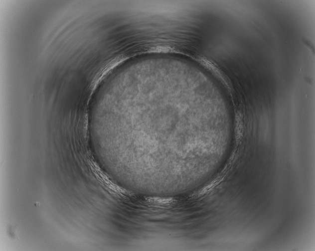 X0000100310831200806261200