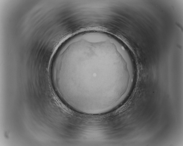 X0000100310832200806261200