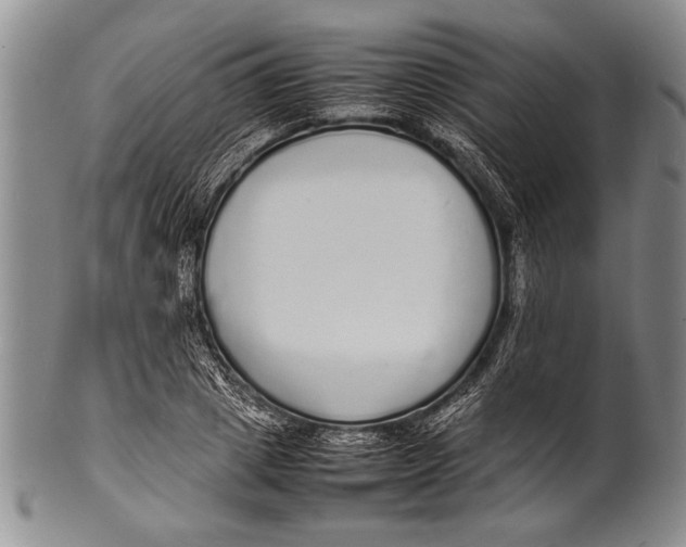 X0000100310833200806261200