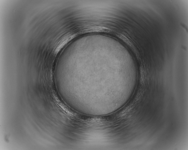 X0000100310834200806261200