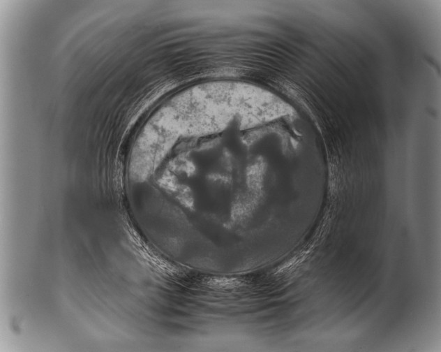 X0000100310835200806261200