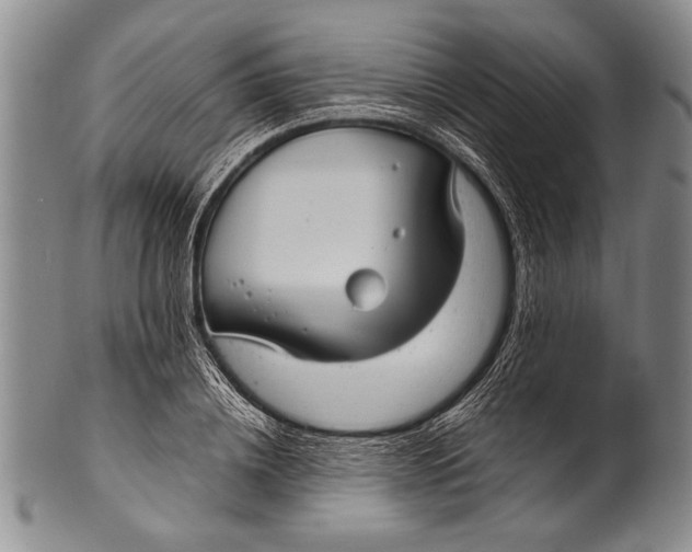 X0000100310836200806261200