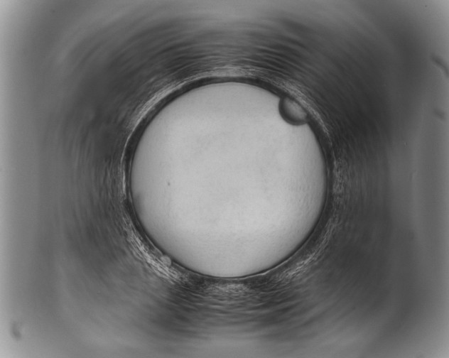 X0000100310837200806261200