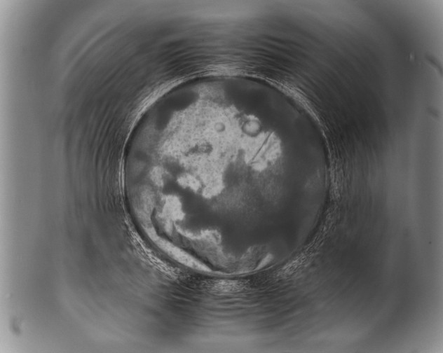 X0000100310839200806261200