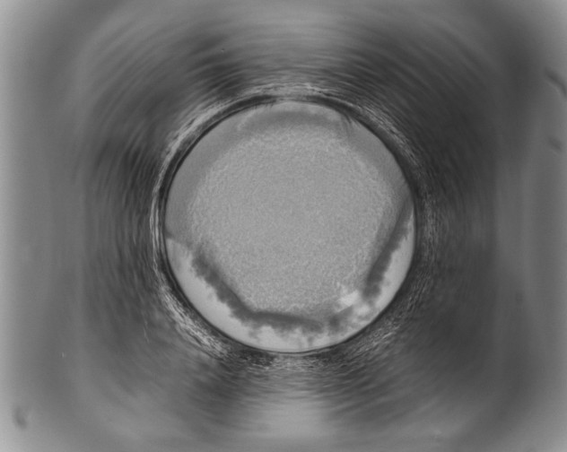 X0000100310840200806261200