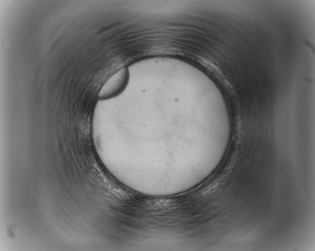 X0000100310841200806261200