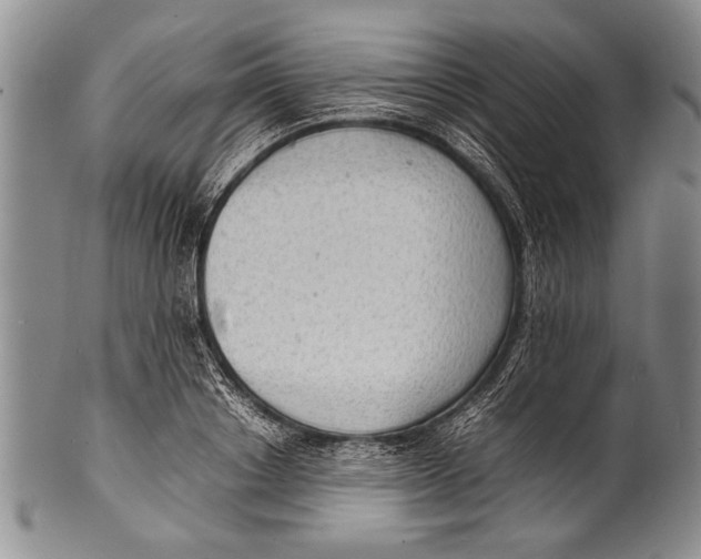 X0000100310842200806261200