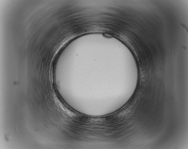 X0000100310843200806261200