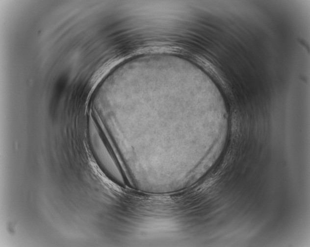 X0000100310844200806261200