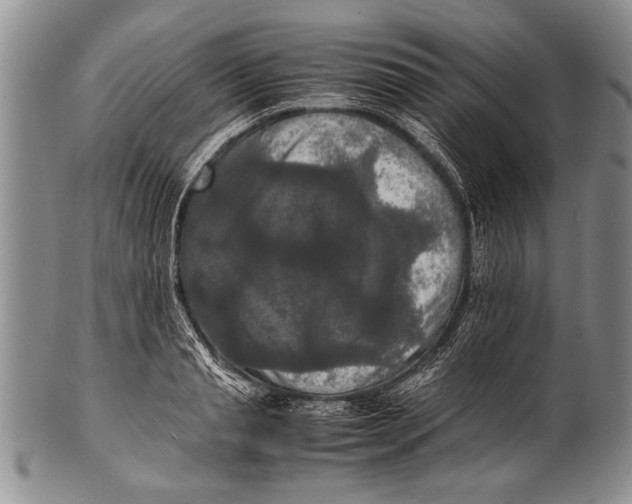 X0000100310845200806261200