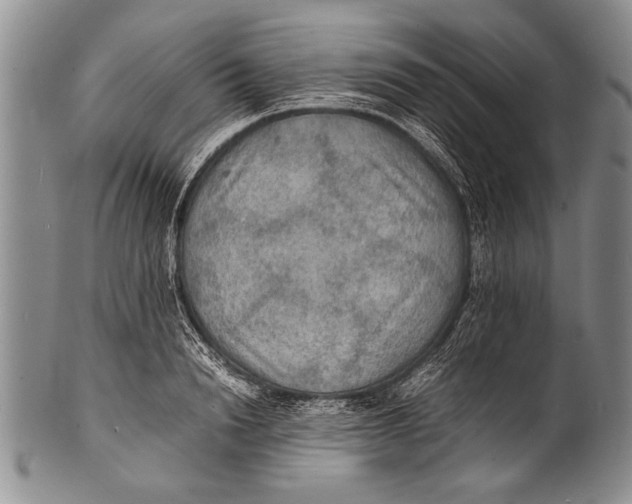 X0000100310846200806261200