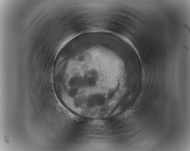 X0000100310847200806261200