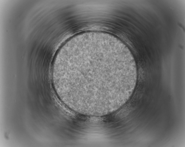 X0000100310848200806261200