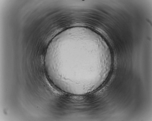 X0000100310849200806261200