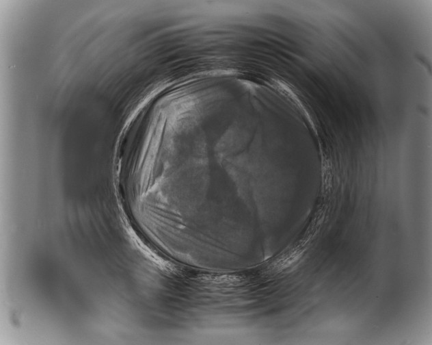 X0000100310851200806261200