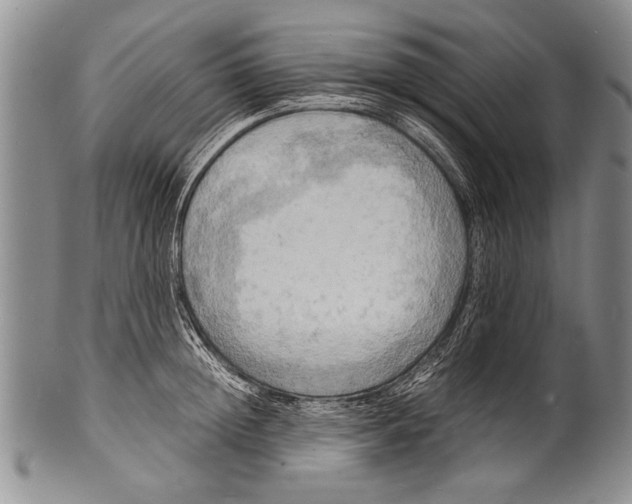 X0000100310852200806261200