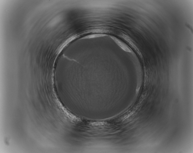 X0000100310853200806261200