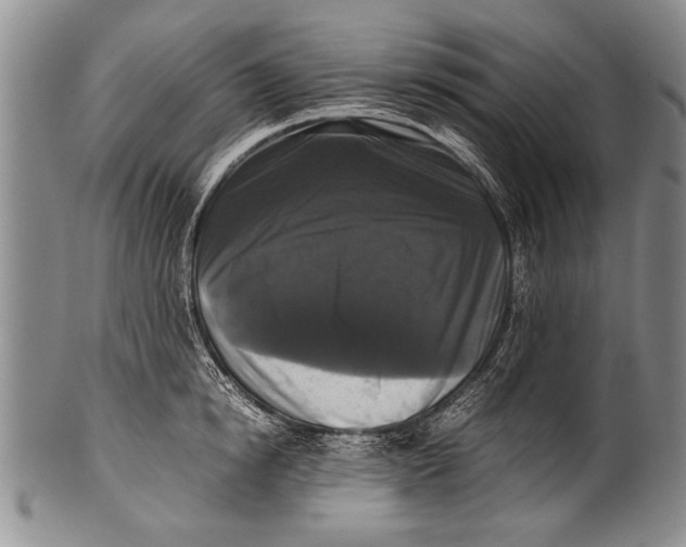 X0000100310854200806261200