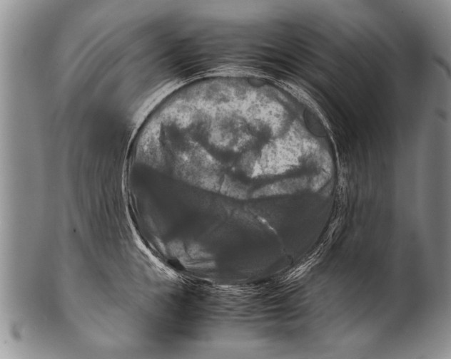 X0000100310855200806261200