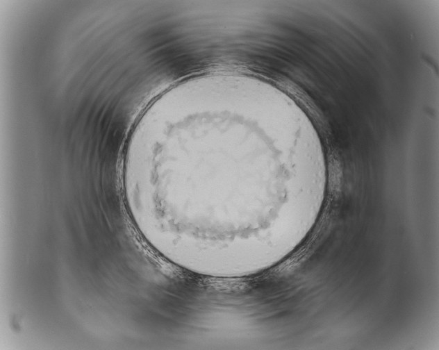 X0000100310856200806261200