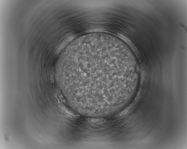 X0000100310857200806261200