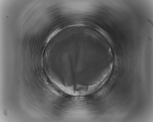 X0000100310858200806261200