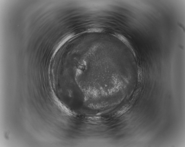 X0000100310859200806261200