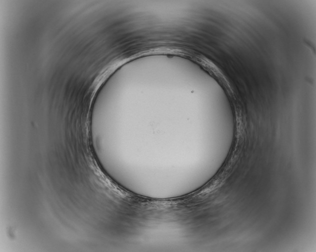 X0000100310860200806261200