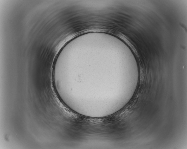 X0000100310861200806261200